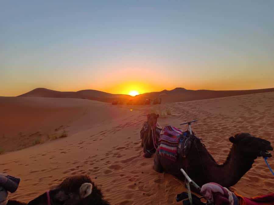 From Marrakech to Fes 3-Day Luxrury Tour via Sahara Desert - Choosing between standard and luxury tents