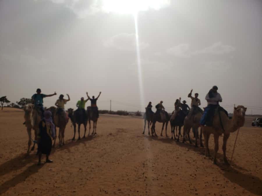 From Marrakech to Fes 4-Day Merzouga Sahara Desert Adventure - Todra Gorge and the road to Merzouga