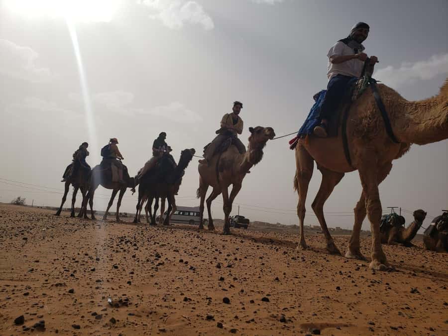 From Marrakech to Fes 4-Day Merzouga Sahara Desert Adventure - Camel riding and a night in Erg Chebbi