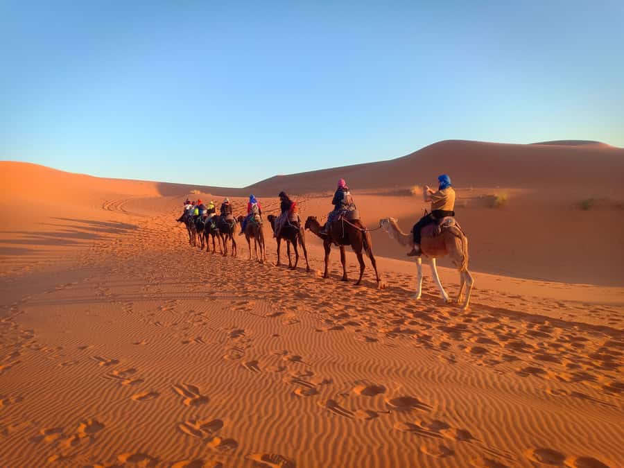 From Marrakech to Merzouga Erg Chebbi: 4-Day Desert Tour - Day two, Todra Gorge and the camel road to Merzouga