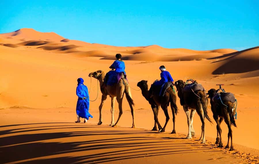 From Marrakech: Tour 3-Day To Fez Via-Desert Merzouga - What the $119 price really includes