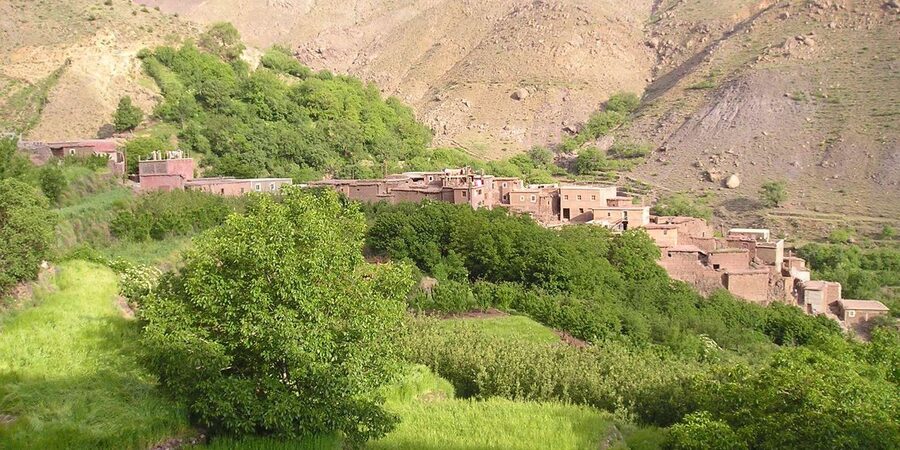 From Marrakech: Trek to Atlas Mountains, Full-Day Trip Lunch - The guides make the difference