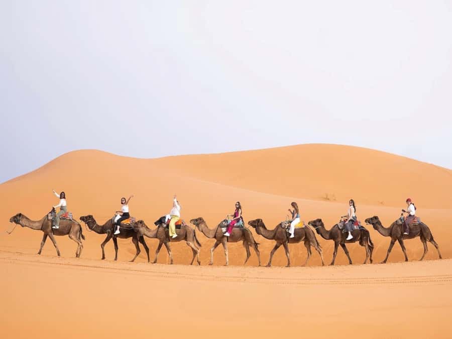 From Marrakech: Unforgettable 3-Day Desert Tour to Fes - Ait Benhaddou and the road through the Valley of the Roses