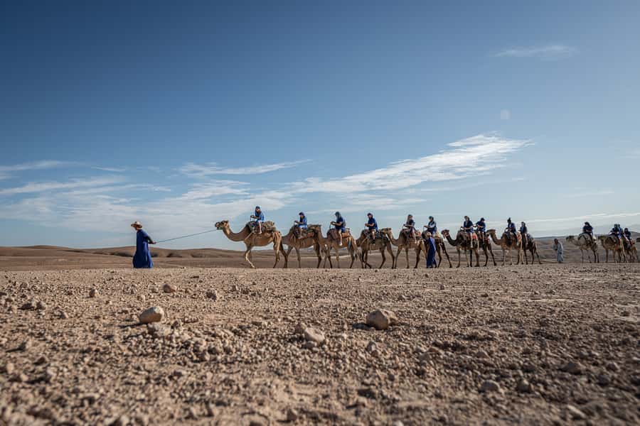 From Marrakech: VIP Agafay Desert & Oasis Camel Experience - Agafay instead of the Sahara