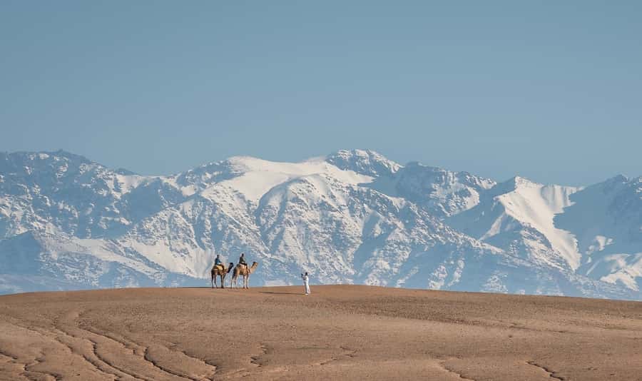 From Marrakech: VIP Agafay Desert & Oasis Camel Experience - Arriving at the oasis