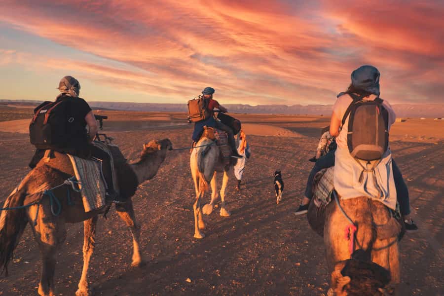 From Marrakech: Zagora 2-Day Desert Safari with Food & Camp - Ait Ben Haddou and the movie-set scenery