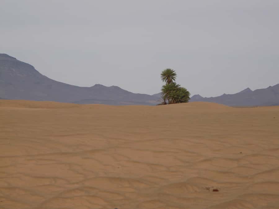 From Marrakesh: 2-Day Desert Zagoura Tour - The long return to Marrakesh