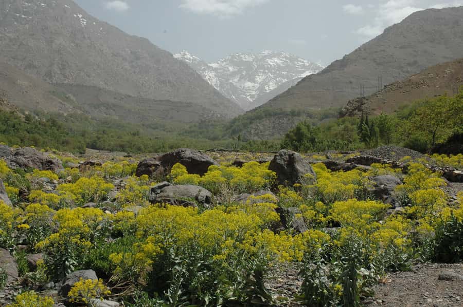 From Marrakesh: 3-Day Trip to Berber Villages - Day 2: The Imnane Valley and the hardest walking
