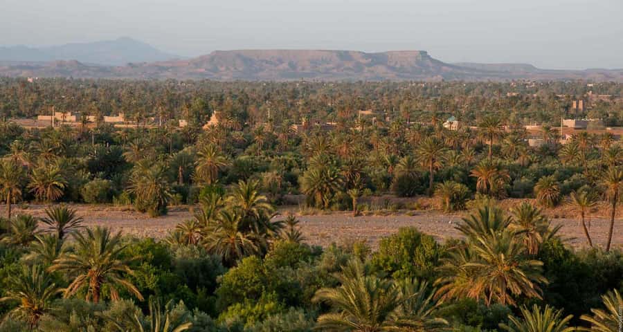 From Marrakesh: 4-Day Private Atlas Mountains & Desert Tour - Private transport and the long hours on the road