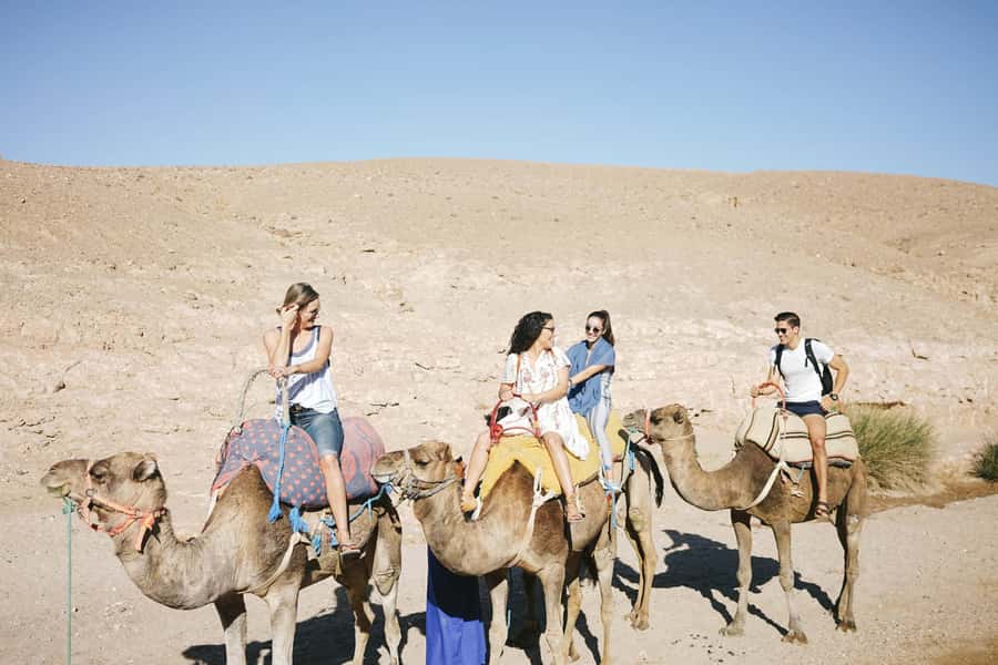 From Marrakesh: Agafay Desert Quad Biking, Camels & Dinner - Sunset at the Berber-style camp