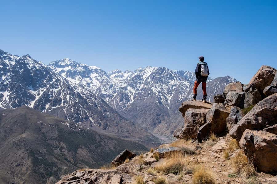 From Marrakesh: Atlas Mountains Talamrout Summit Day Hike - Pine forest and the final push to 2,600 metres