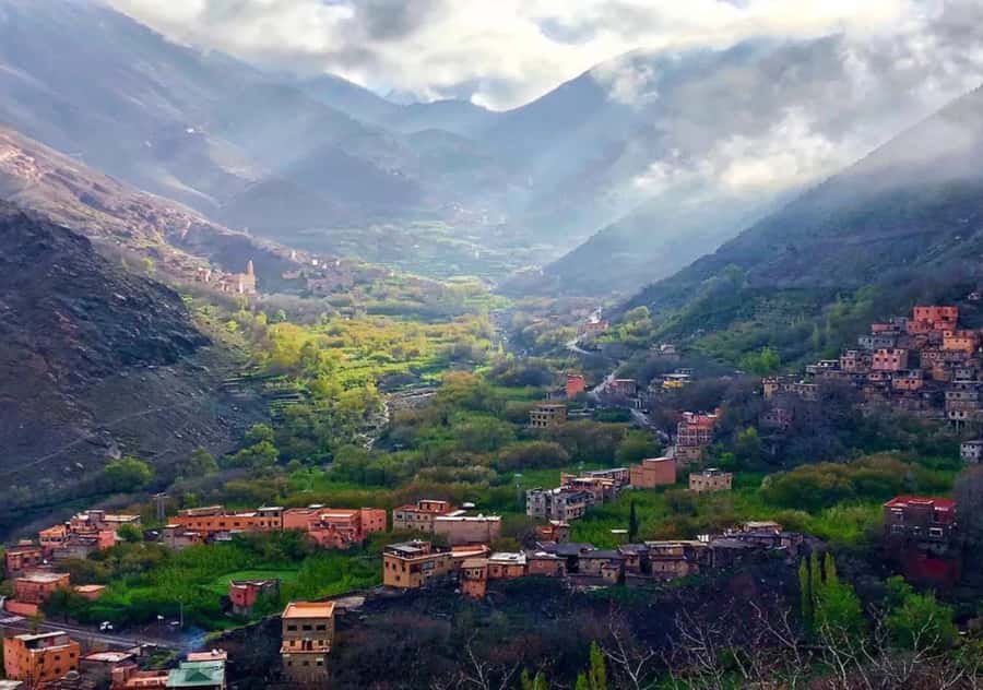 From Marrakesh: Day Trip to Atlas Mountains & Optional Lunch - The guided walk: waterfalls, terraces, and viewpoints