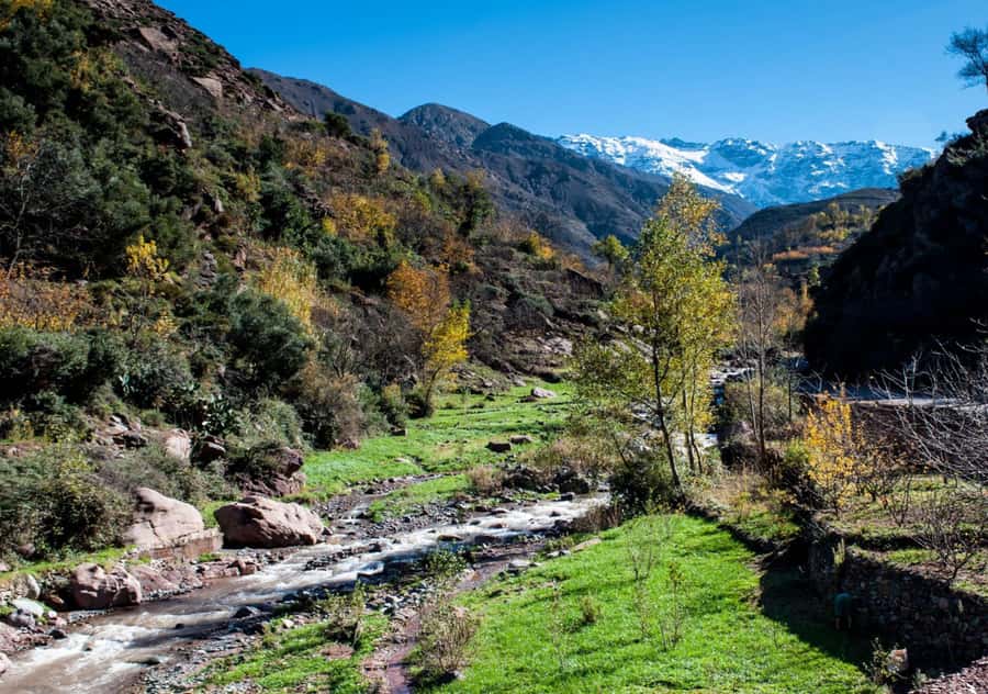 From Marrakesh: Day Trip to Atlas Mountains & Optional Lunch - Arriving in Imlil, the High Atlas gateway
