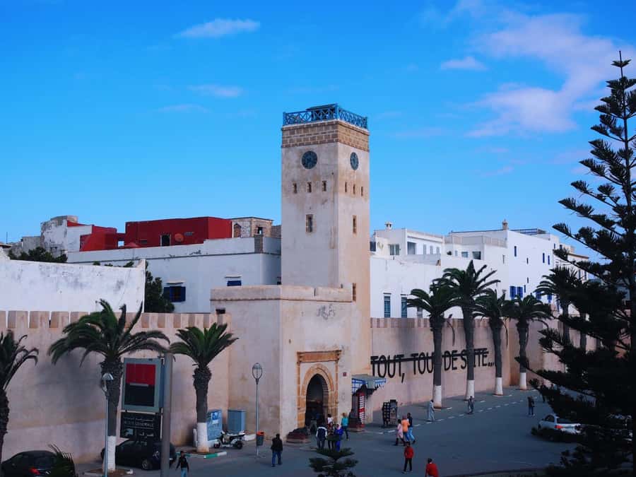 From Marrakesh: Essaouira Day Trip - Who should book this day trip?