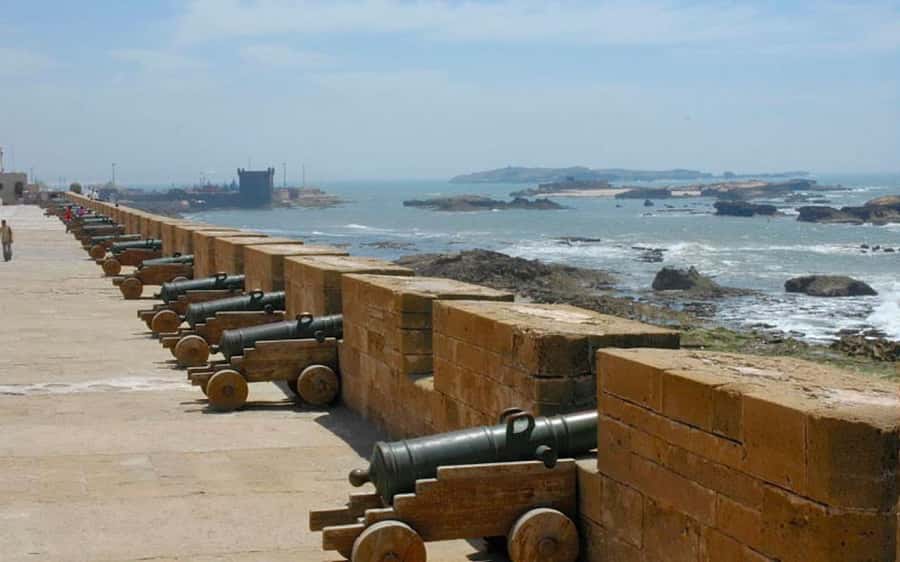 From Marrakesh: Essaouira Day Trip - The argan oil cooperative and the famous goats