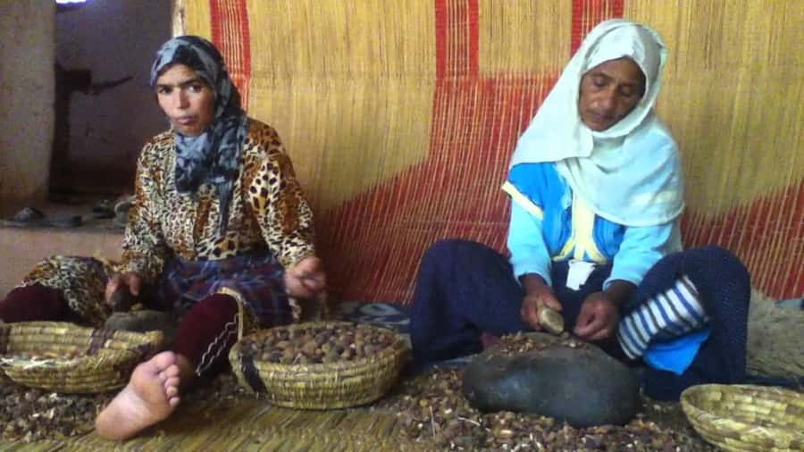 From Marrakesh: Essaouira Day Trip - Moulay Hassan Square, seafood, and the beach