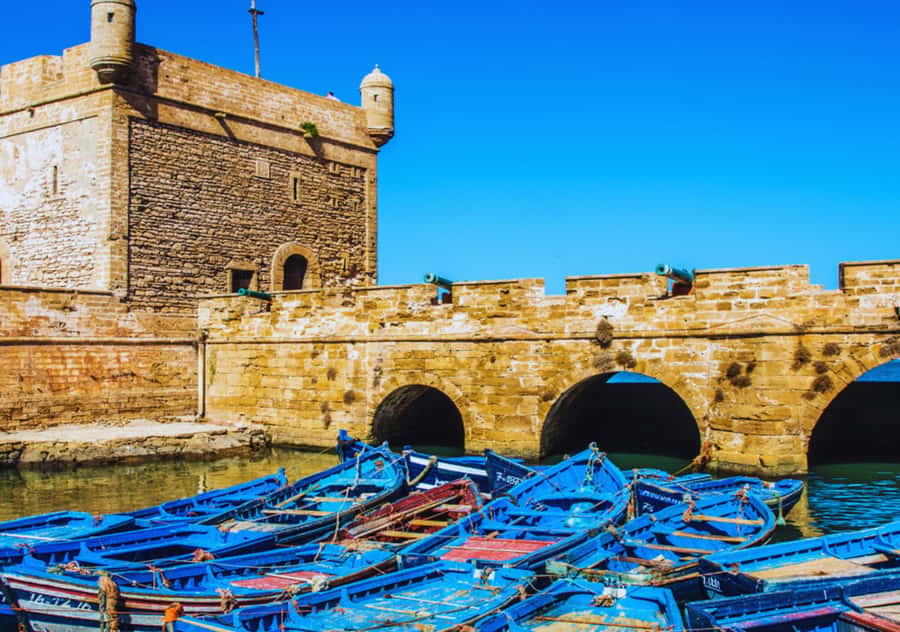 From Marrakesh: Essaouira Full-Day Trip - Why Essaouira makes a good Marrakesh escape