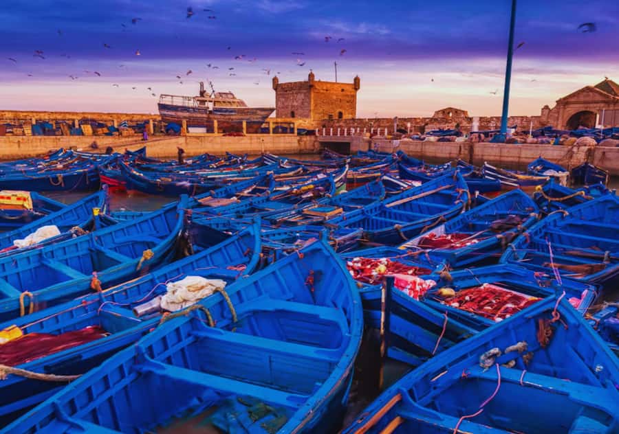From Marrakesh: Essaouira Full-Day Trip - What happens at the argan-oil cooperative
