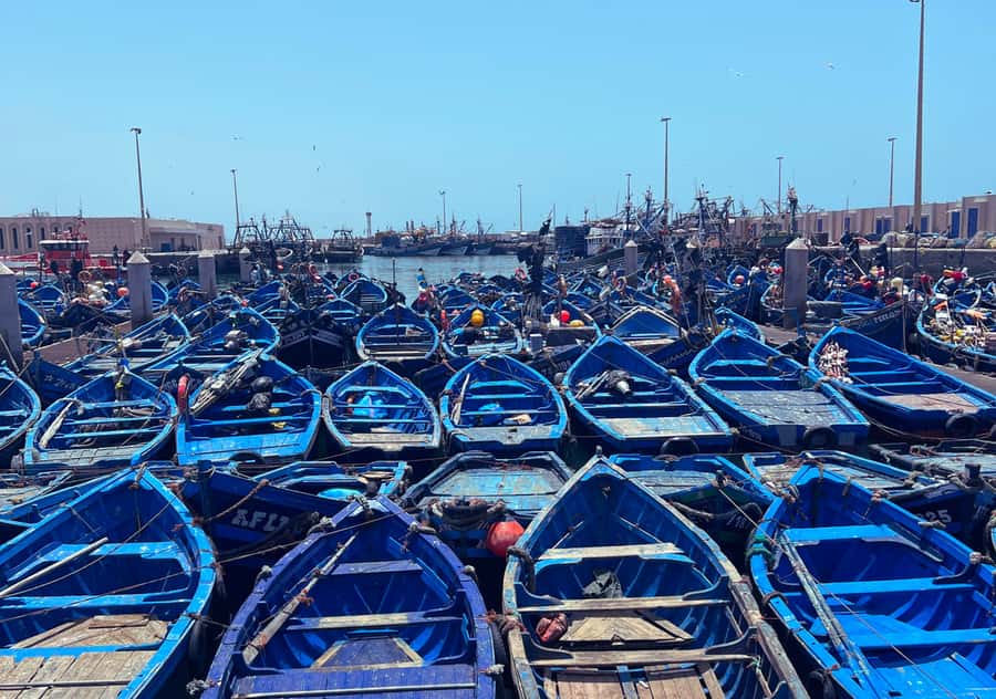 From Marrakesh: Essaouira Full-Day Trip - Is $20 good value?
