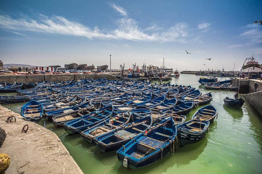 From Marrakesh: Small Group To Essaouira With Opt Activities - Four Hours Inside Essaouira
