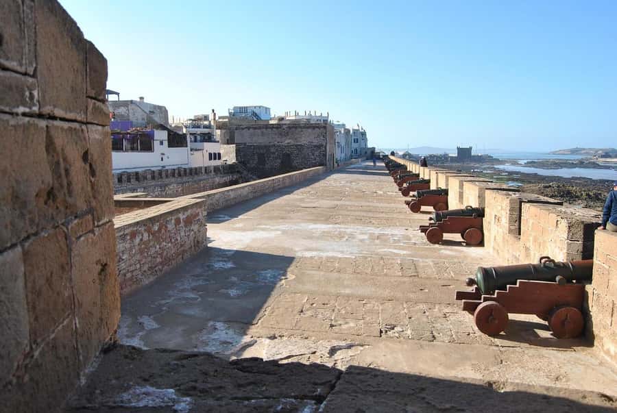 From Marrakesh: Small Group To Essaouira With Opt Activities - Who Should Book This Essaouira Day Trip