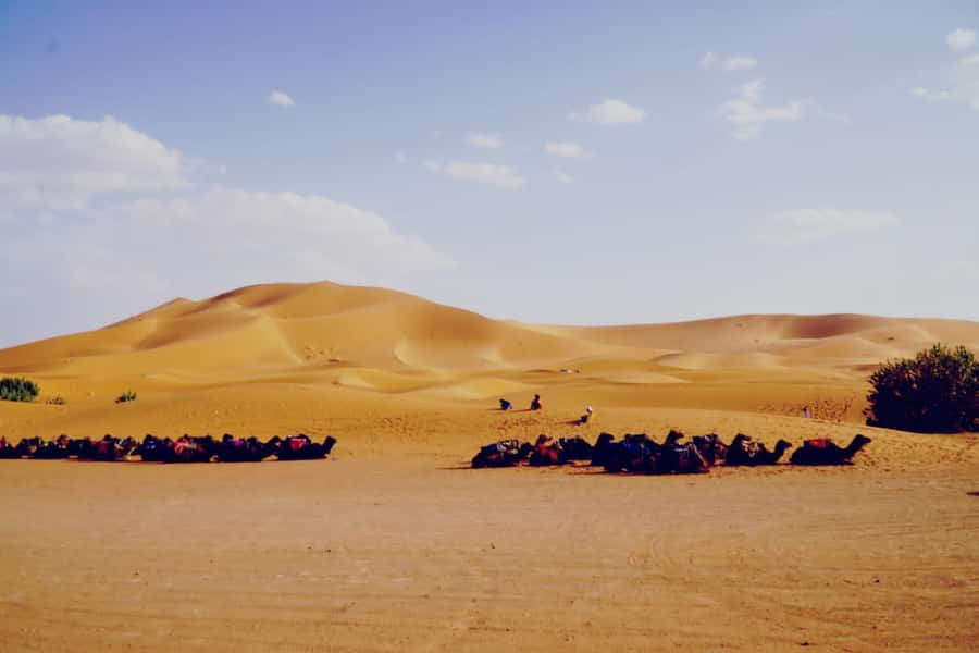 From Merzouga: Desert Overnight in Heated Tent & Camel Ride - Arriving at Erg Chebbi near sunset