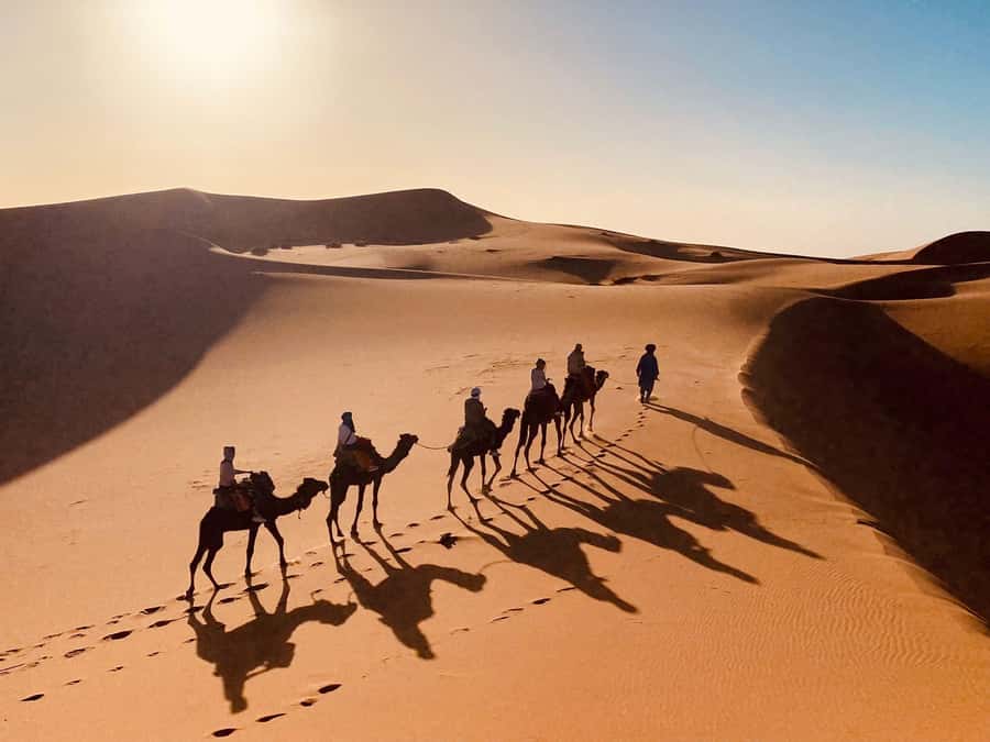 From Merzouga: Overnight Camel Trek over Erg Chebbi Dunes - Tagine, tea, and drums around the fire