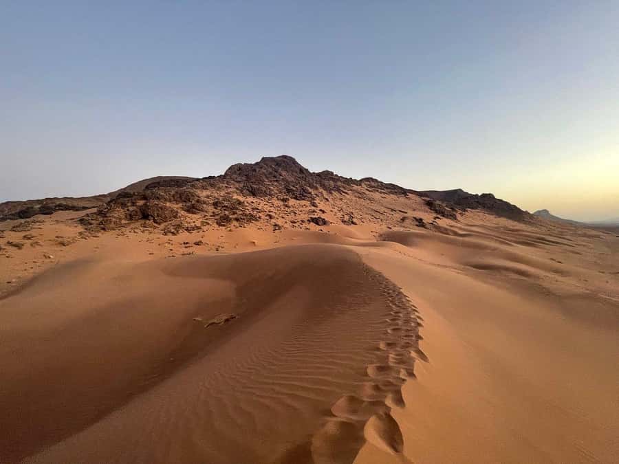 From Ouarzazate: 2-Day Excursion to Zagora Desert - The road from Ouarzazate through the Draa Valley