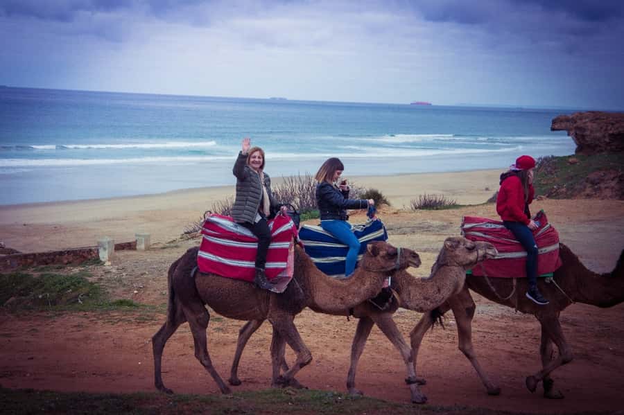 From Seville: Tangier Day Trip with Local Guide and Lunch - What this Seville to Tangier trip really offers