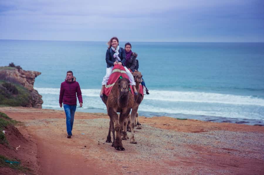 From Seville: Tangier Day Trip with Local Guide and Lunch - Returning to Seville late at night