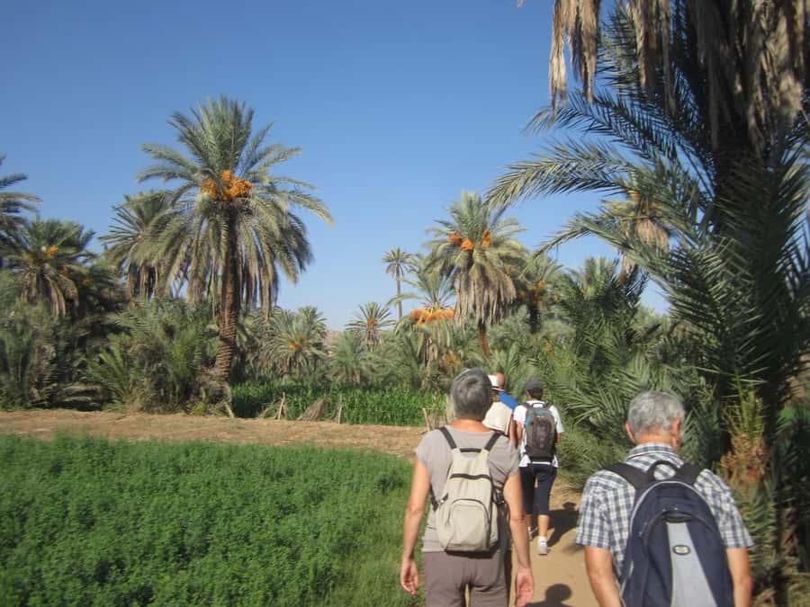 From Taghazout/Agadir: Taroudant and Tiout Day Trip & Tajine - Who will enjoy this day most?