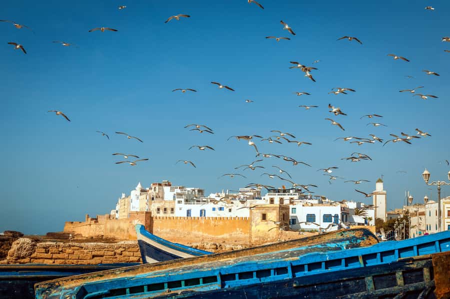 From Taghazout: Medina of Essaouira Guided Day Trip - The long road from Taghazout