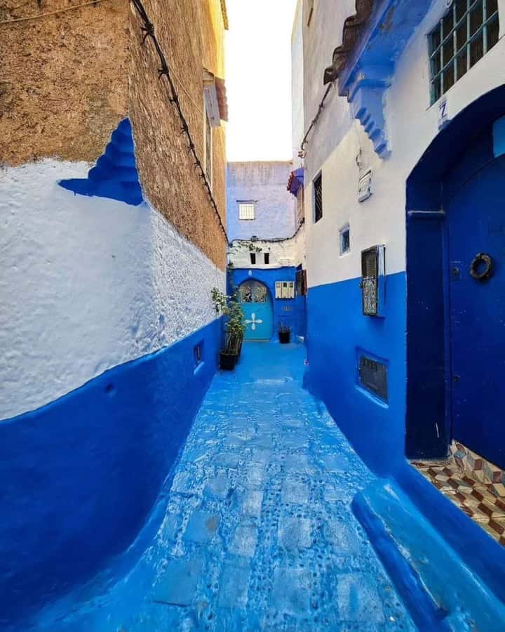 From Tangier: Asilah Tour with Tea Tasting & Camel Ride - From Tangier to the Atlantic edge