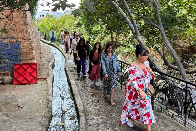 From Tangier: Day Trip to Chefchaouen and Akchour Waterfalls - Swimming, photos, and the cold-water reality