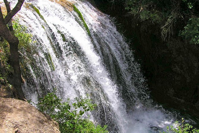 From Tangier: Day Trip to Chefchaouen and Akchour Waterfalls - The return journey to Tangier