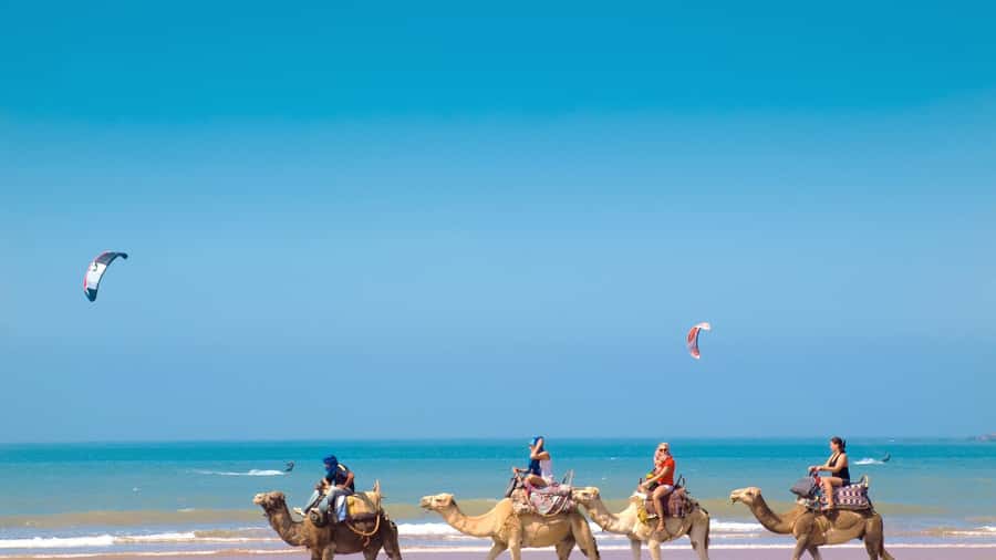 From Tangier: Full-Day Tangier, Asilah, & Cape Spartel Tour - Who will enjoy this tour most
