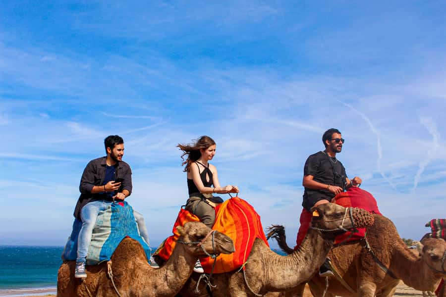 From Tangier: Full-Day Tangier, Asilah, & Cape Spartel Tour - What the $65 price really buys you