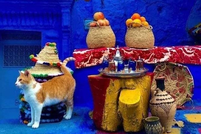 From Tangier: Special Day Trip to Chefchaouen and Tetouan - What the 11-hour schedule feels like