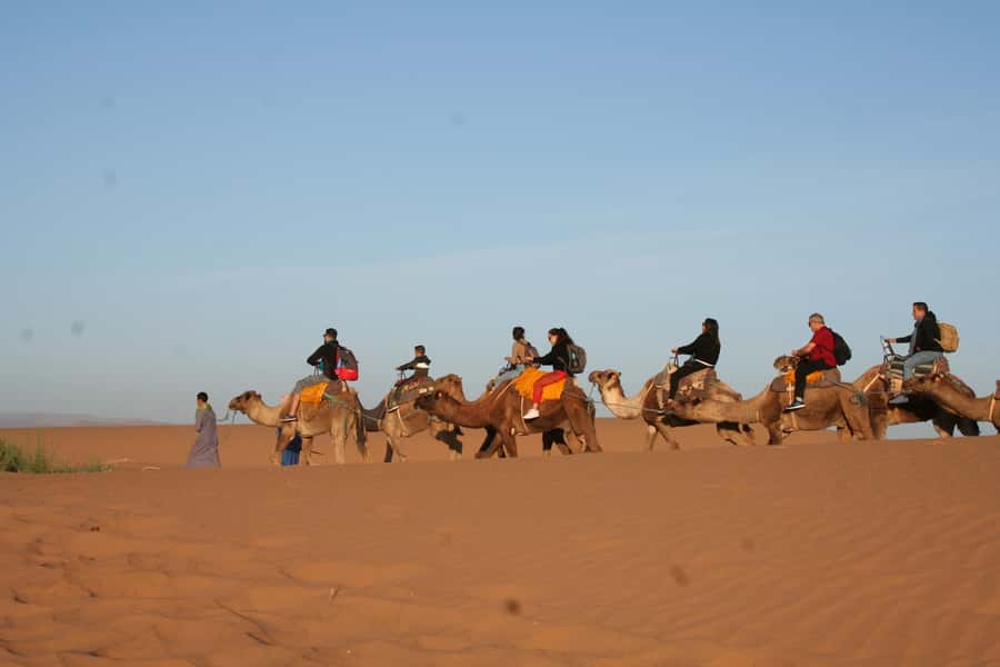 From Zagora: 2-Day Desert Tour to Erg Chegaga - A night at camp, with stars and no signal