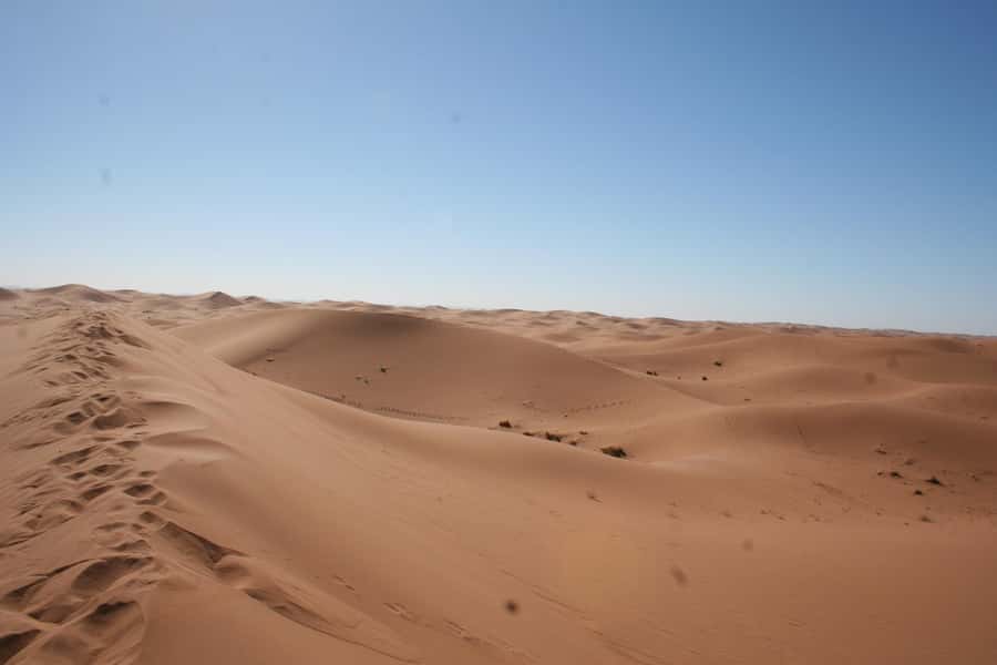 From Zagora: 2-Day Desert Tour to Erg Chegaga - What the $174 price really covers