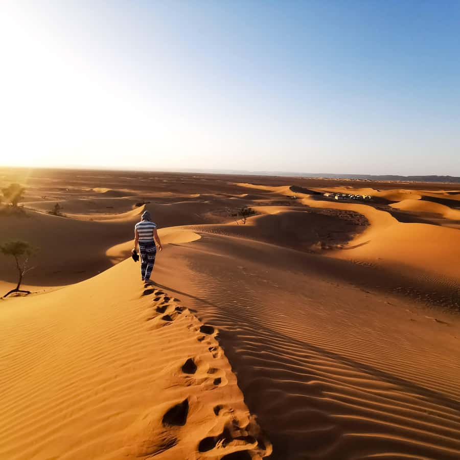 From Zagora: Overnight Desert Tour to Erg Chigaga Camel ride - Key points at a glance