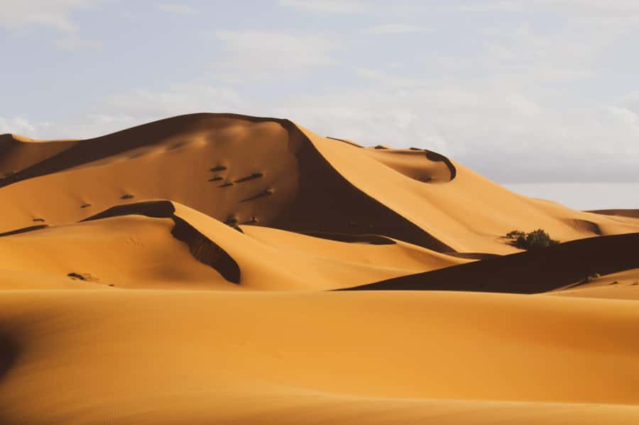 From Zagora: Overnight Desert Tour to Erg Chigaga Camel ride - The M’Hamid to Erg Chigaga off-road crossing