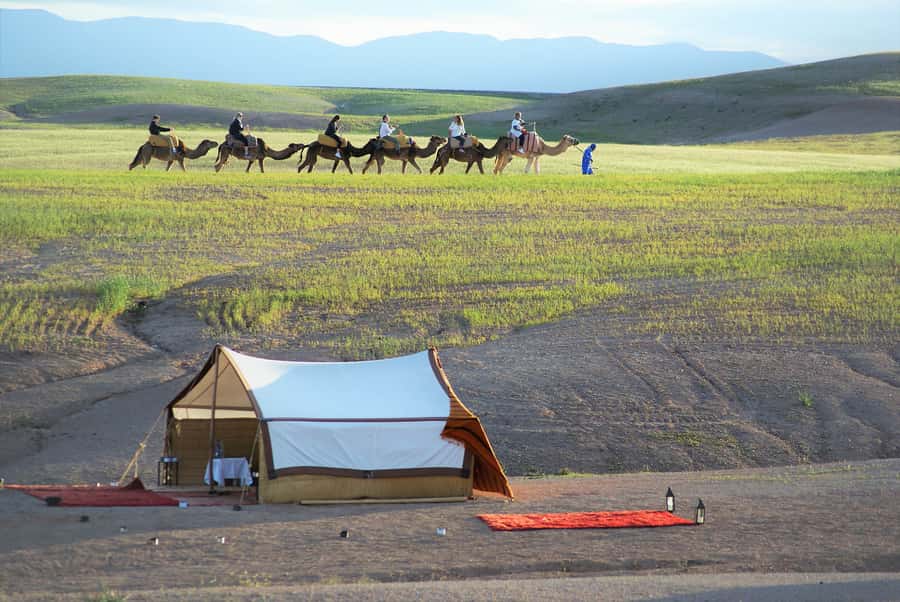 Full-Day Agafay Desert & Atlas Mountains Tour With Camels - A big day beyond Marrakech