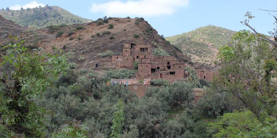 Full-Day Agafay Desert & Atlas Mountains Tour With Camels - Should you book it?