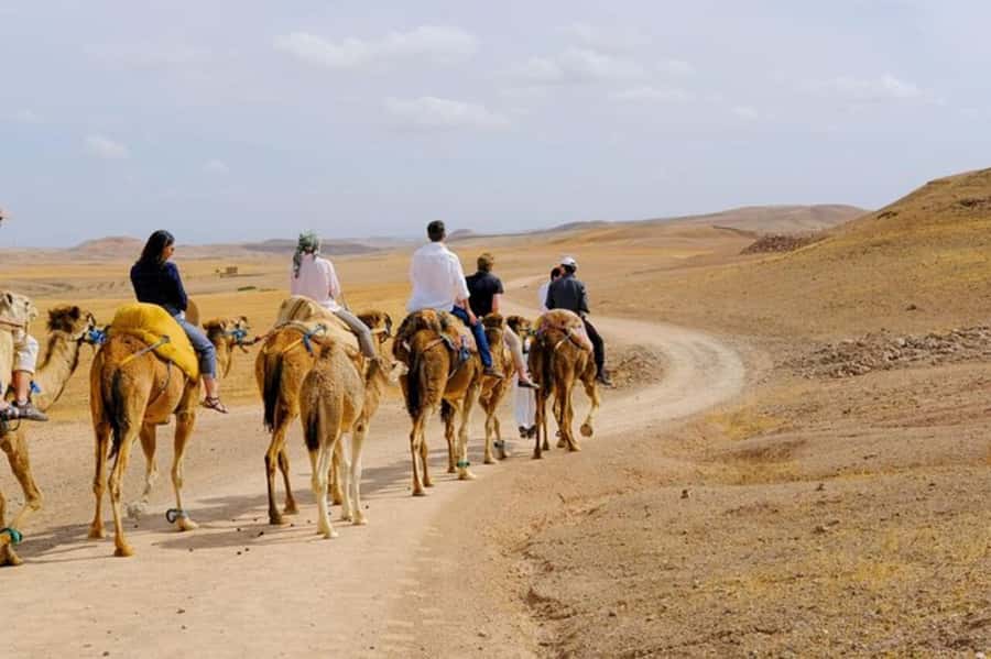 Full-Day Agafay Desert & Atlas Mountains Tour With Camels - Tea, argan oil, and a look at local work