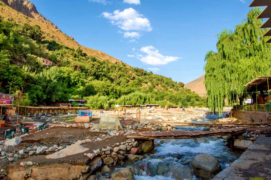 Full-Day Agafay Desert & Atlas Mountains Tour With Camels - The High Atlas walk and the waterfall stop