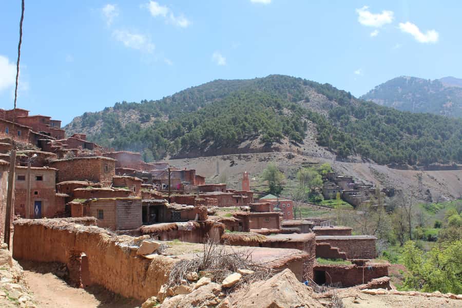 Full-Day Agafay Desert & Atlas Mountains Tour With Camels - What the $28 price really includes