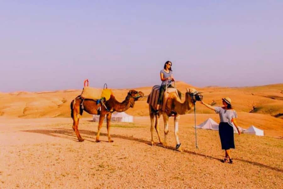 Full-Day Agafay Desert & Atlas Mountains Tour With Camels - Pickup, group size, and the nine-hour-day feel