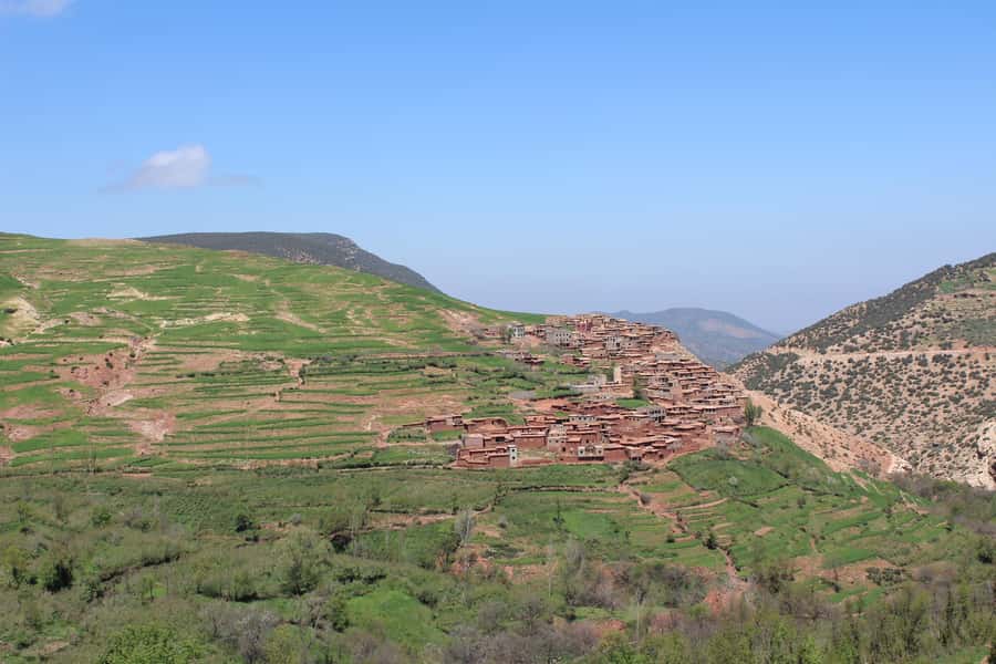 Full-Day Agafay Desert & Atlas Mountains Tour With Camels - Who should book this day trip?