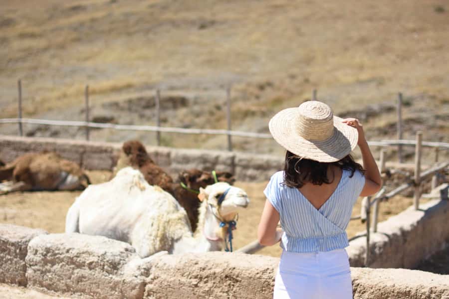 Full-Day Agafay Desert & Atlas Mountains Tour With Camels - The Kik Plateau and the road into the Atlas